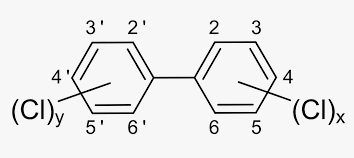 Bifenilos Policlorados